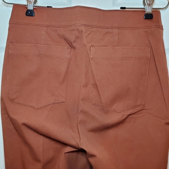 NWT SPANX On-the-Go Ankle Slim Straight Pant Bronze Glow, Size M - Picture 6 of 10